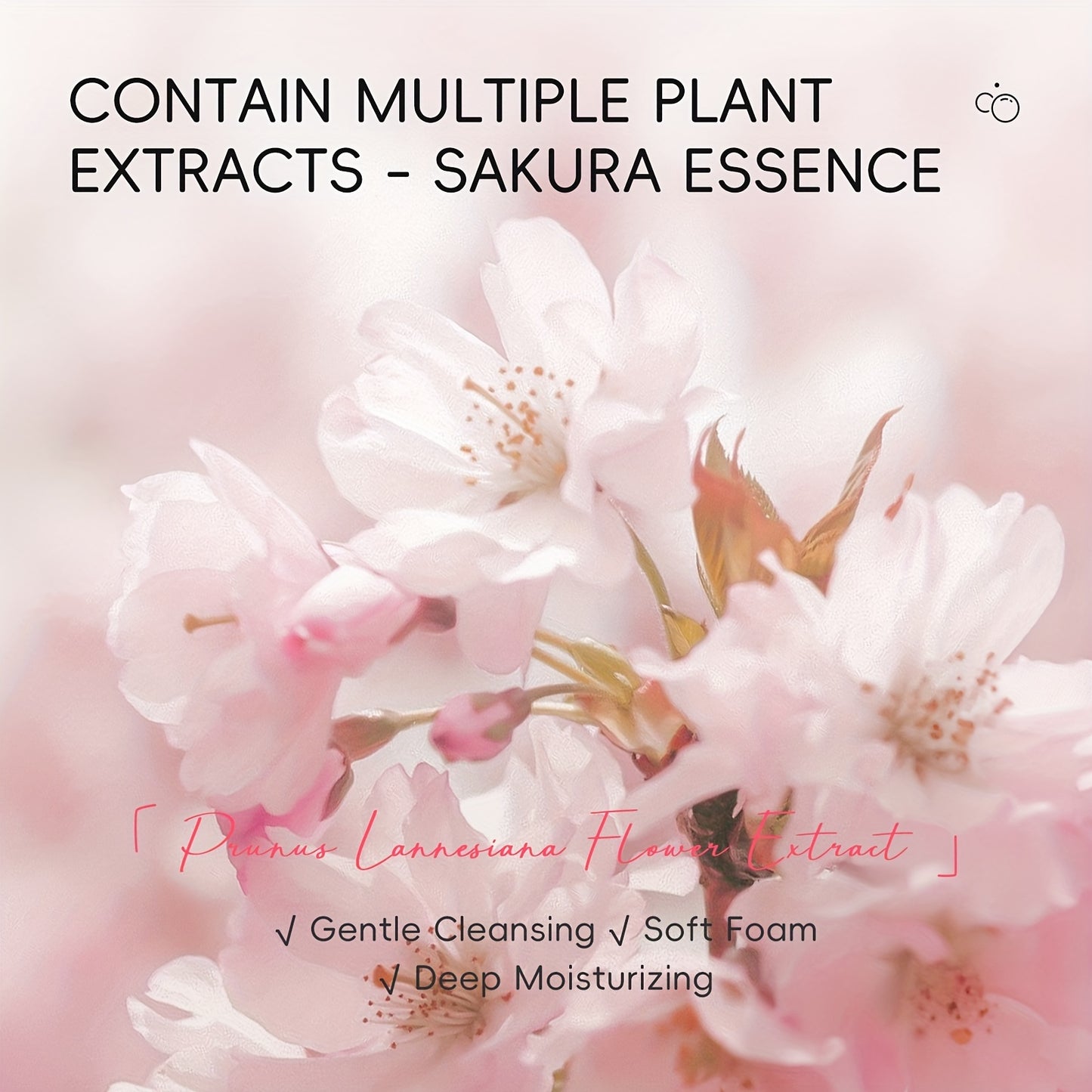 Sakura - Japanse skincare set
