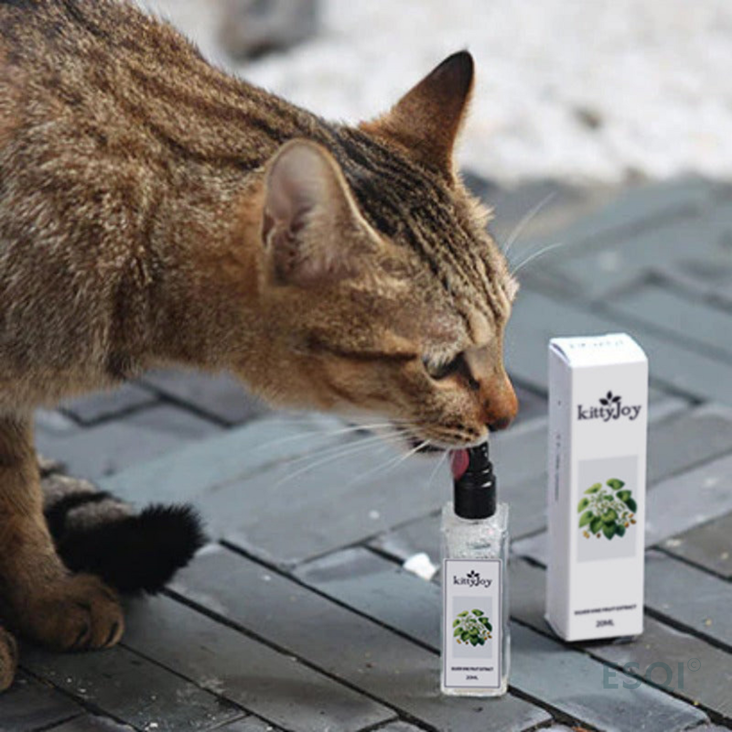 Kattenkruid spray