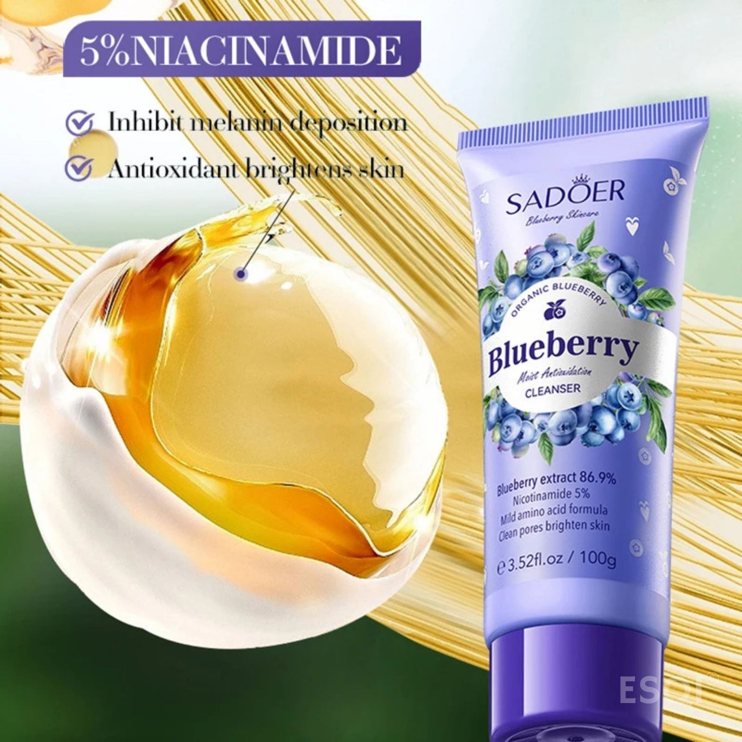 Organic Blueberry Facial Cleanser