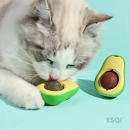 Avocado Katten kruid bal